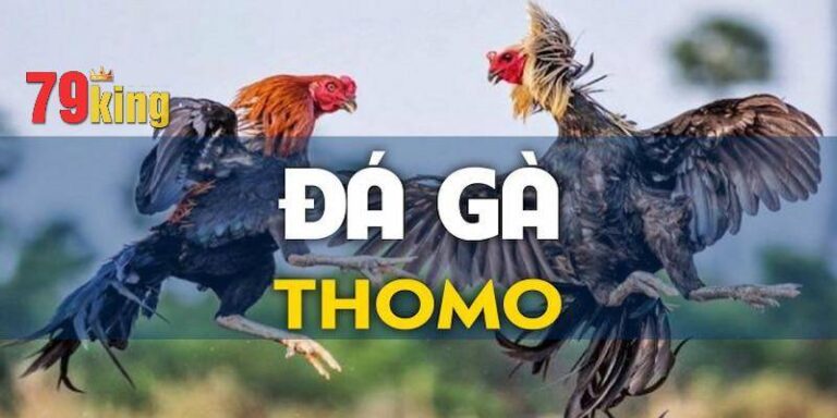 Da Ga Thomo 79King – Trai Nghiem Cho Tin Do Choi Ke